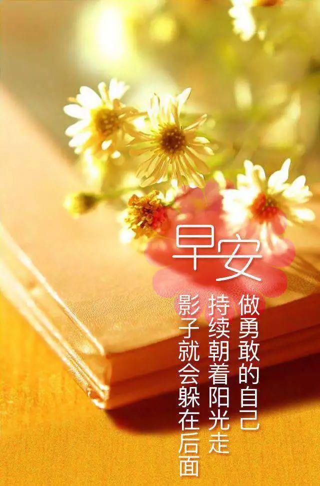 視覺與文字的交融之美，最新小說圖片探索集