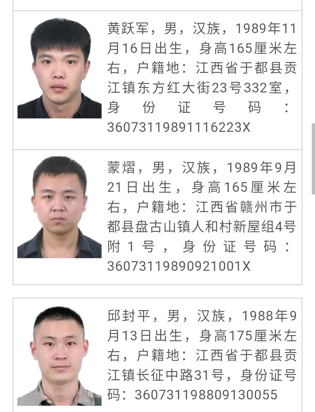 犯罪背后的真相與深思，最新通緝揭示的社會反思