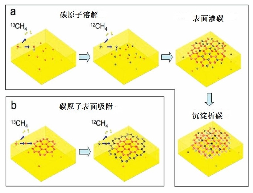 碳13最新研究進(jìn)展及其應(yīng)用前景展望