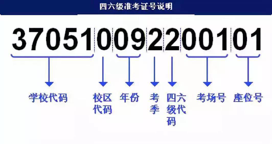 7777788888最新的管家婆,迅捷解答方案實(shí)施_pro37.965