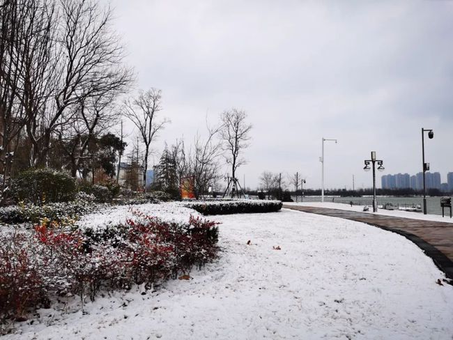 林州下雪實時報道，雪景一覽