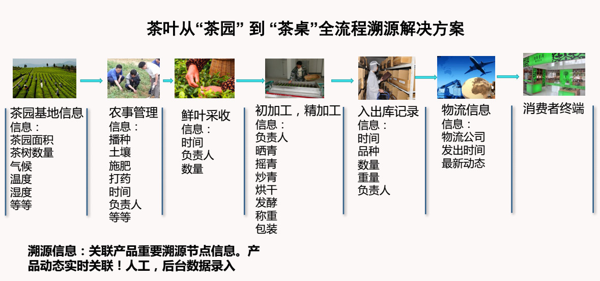 一碼一肖100%精準,細致研究解答方案_罕見款24.903