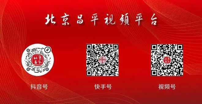 澳門一碼中精準一碼免費中特論壇,接頭解答落實解釋_宣傳集14.503