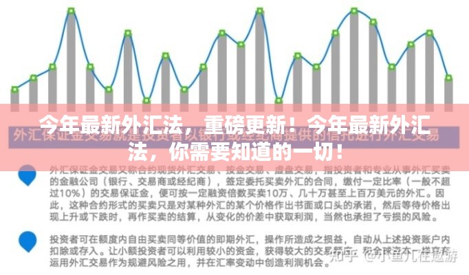 最新外汇法，影响、挑战与机遇的全方位解读