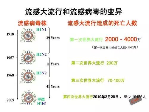 全球流感事件最新动态，影响及应对策略解析