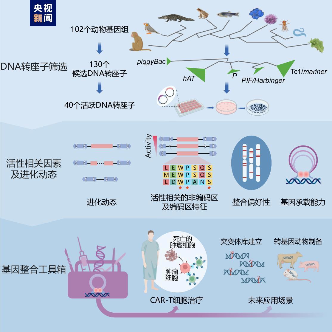 转座子研究的新进展概览