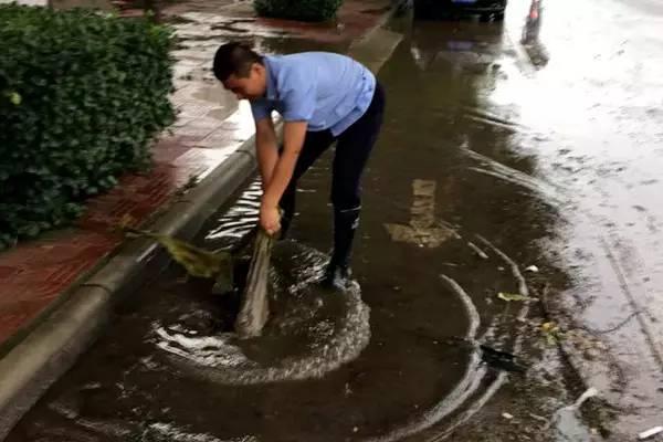 滂沱大雨中的音樂與情感交織，在線聽的新體驗(yàn)