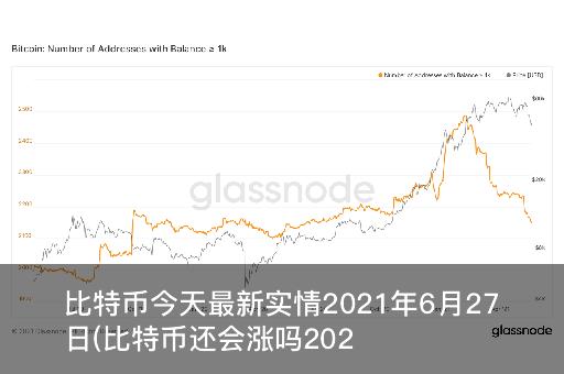 最新比特幣動(dòng)態(tài)及市場(chǎng)深度解讀與前景展望分析