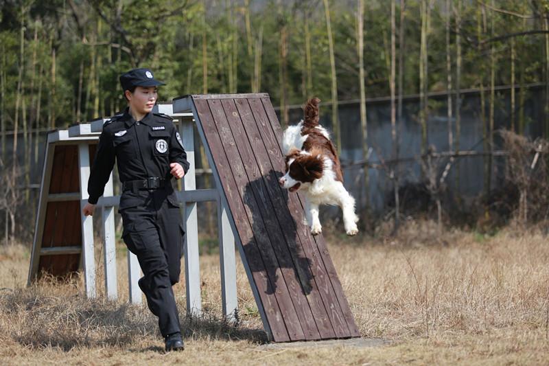 警花與警犬，下載背后的情感紐帶與故事揭秘