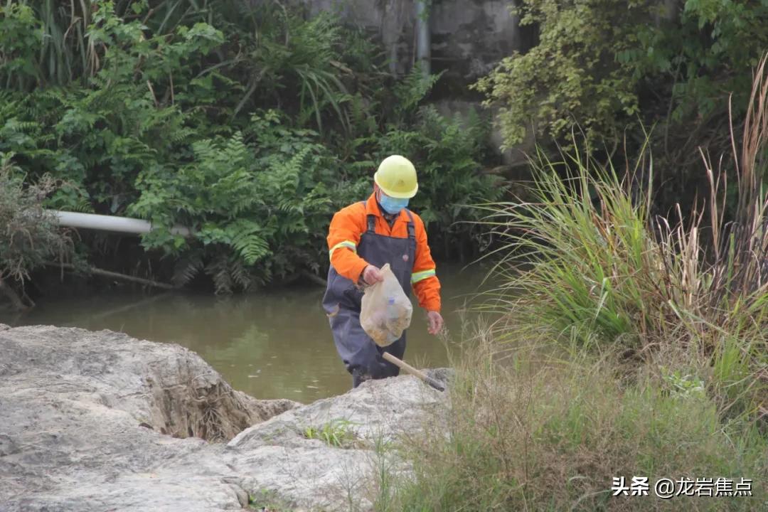 河次疫情最新动态，全面解析现状、应对策略与未来展望