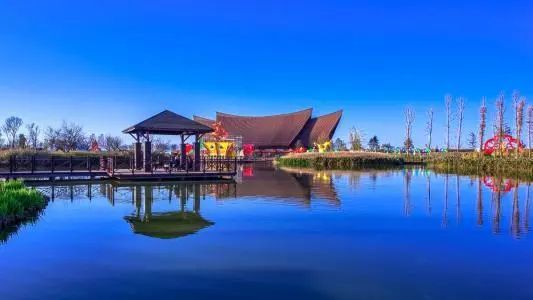 東景濕地公園最新動(dòng)態(tài)，生態(tài)建設(shè)的蓬勃發(fā)展勢(shì)頭強(qiáng)勁