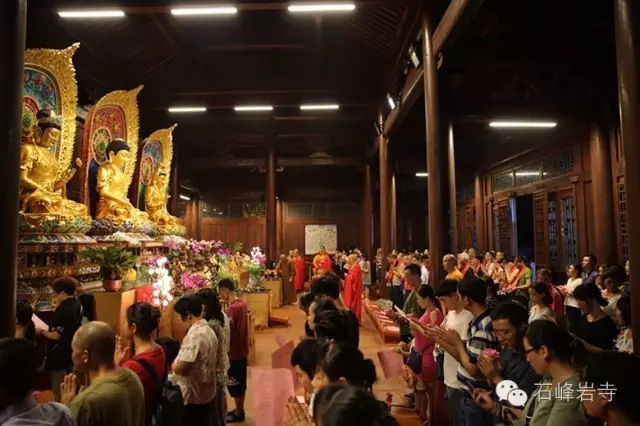 实际禅寺现场直播，最新体验与深度洞察