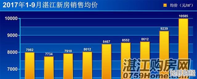 廉江楼盘网最新房价动态与市场影响分析