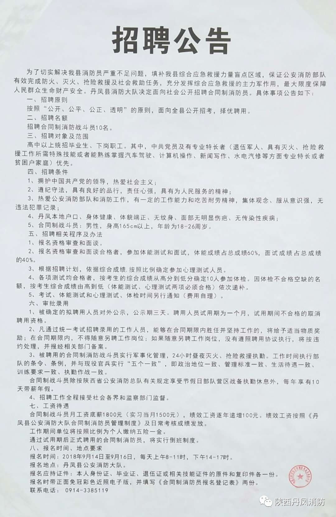 武鸣县招聘动态更新与人才发展概览