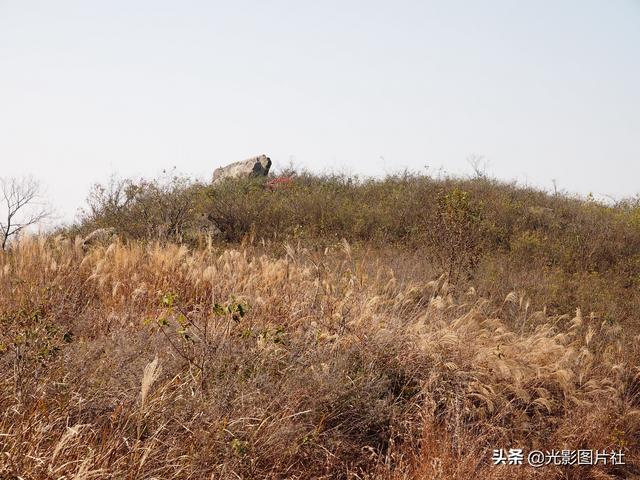 肥东浮槎山最新动态揭秘，探寻发展新篇章，揭开神秘面纱之旅