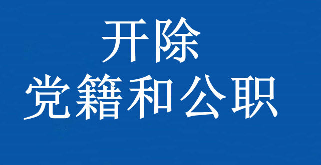 赤坎区统计局领导团队全新亮相，工作展望与未来展望