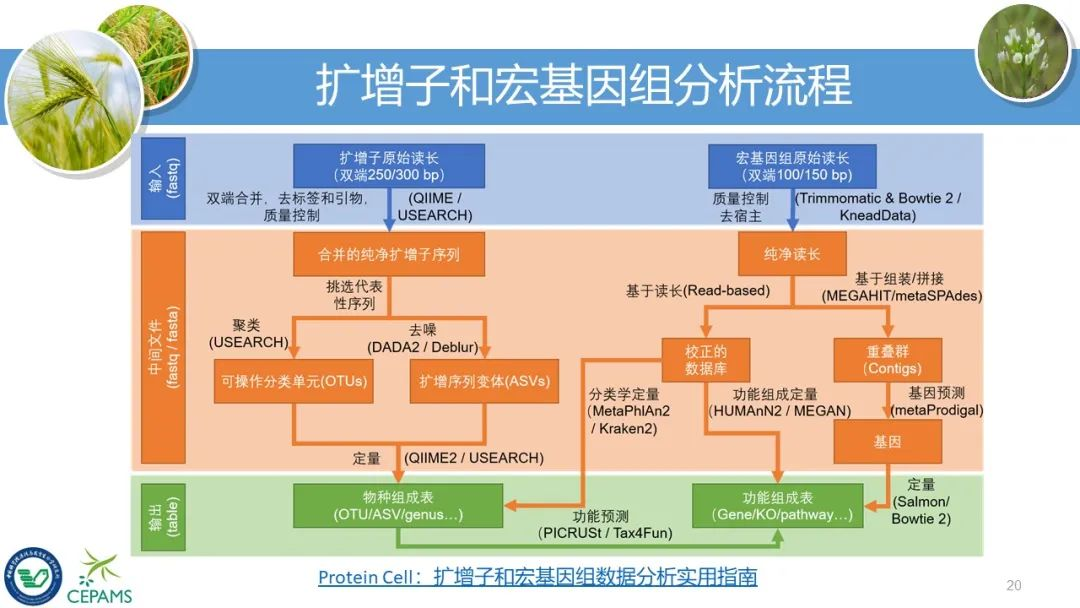 今晚必出三肖,实地数据评估策略_yShop42.287