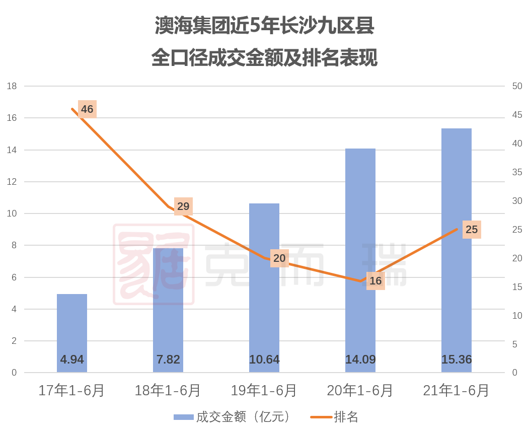 新澳最精准正最精准龙门客栈,经济性执行方案剖析_网红版13.615