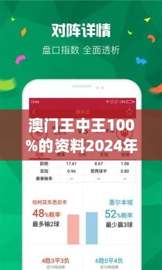 2024新澳门王中王正版,创新计划执行_限量款64.644