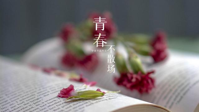 再见青春，永恒的歌曲旋律