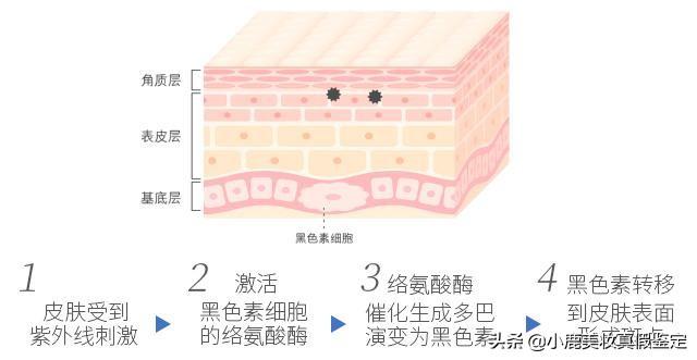 褒曼皮肤测试在线网页，开启个性化护肤新纪元探索