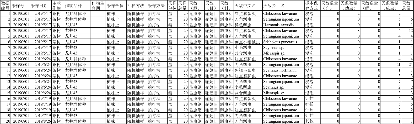 最新速扣表，时尚与科技的完美融合