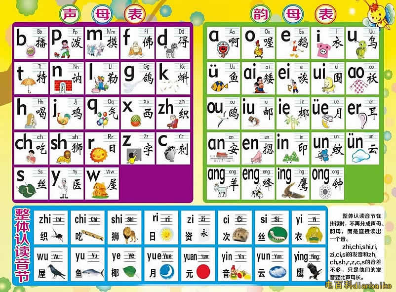 最新拼音字母表全面解析