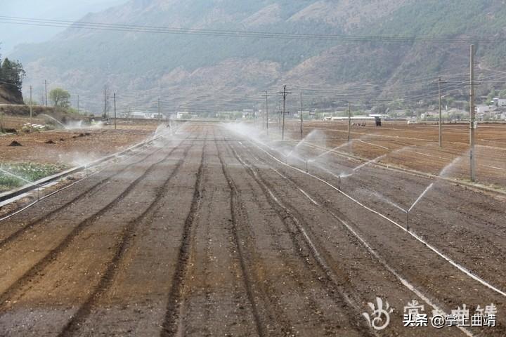 嵩待高速最新路况更新报告